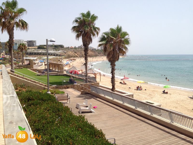 shate32 yaffasj (1).JPG